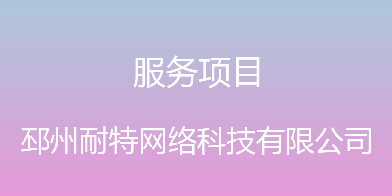 服务项目 - 邳州耐特网络科技有限公司